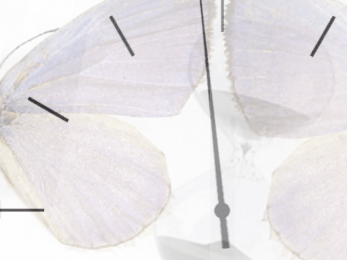 FEAR. NOT. by DEBORAH&nbsp;HANSEN