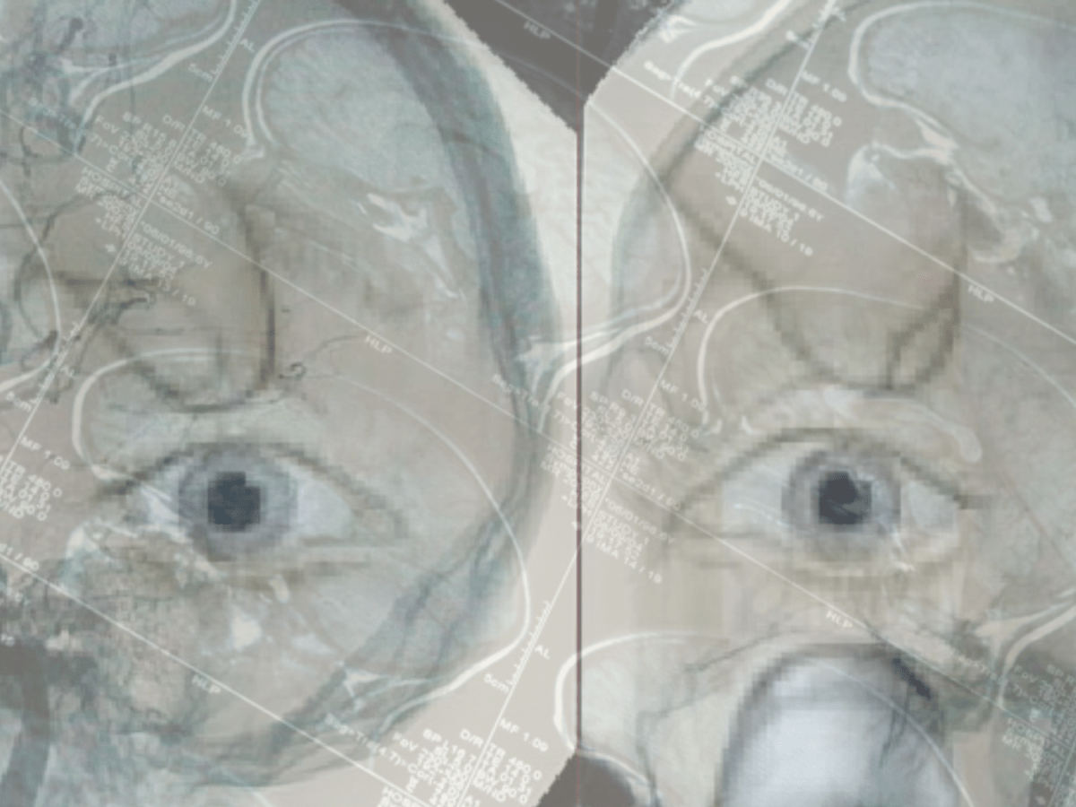 A Brain-Dead Body by Jessica&nbsp;Granger