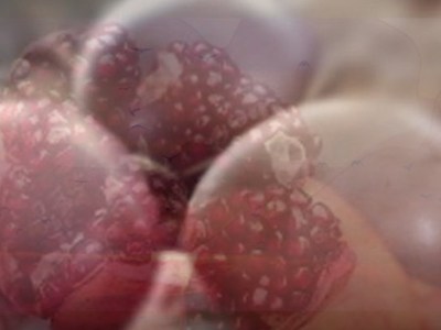 A STUDY OF THE BLASTULATION OF PURPLE by Tamlin&nbsp;Thomas