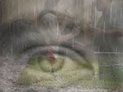 SYNTAX by Samuel&nbsp;Cole