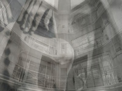 INTERVIEW UNDER CAUTION by Nicole&nbsp;Yurcaba